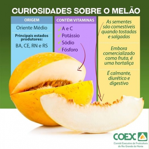 Curiosidades Sobre O Mel O Coex Comit Executivo De Fruticultura Do Rio Grande Do Norte